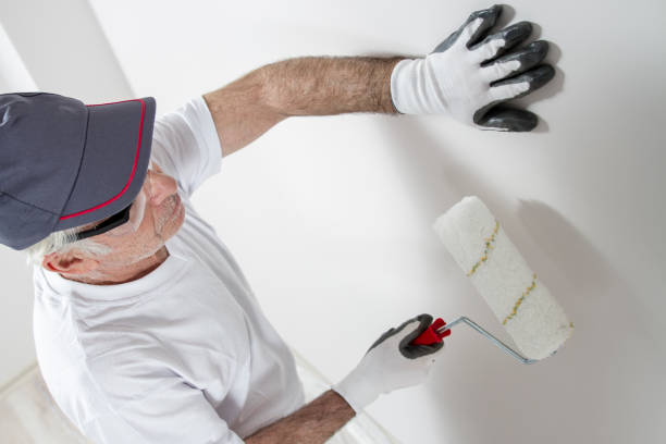 Best Drywall Sanding and Smoothing  in Lindsay, OK