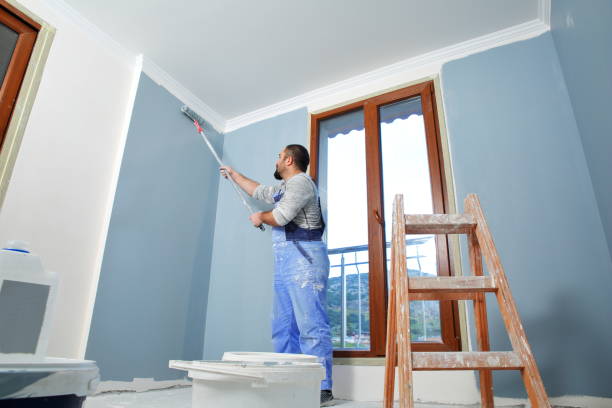 Best Eco-Friendly and Low-VOC Painting  in Lindsay, OK